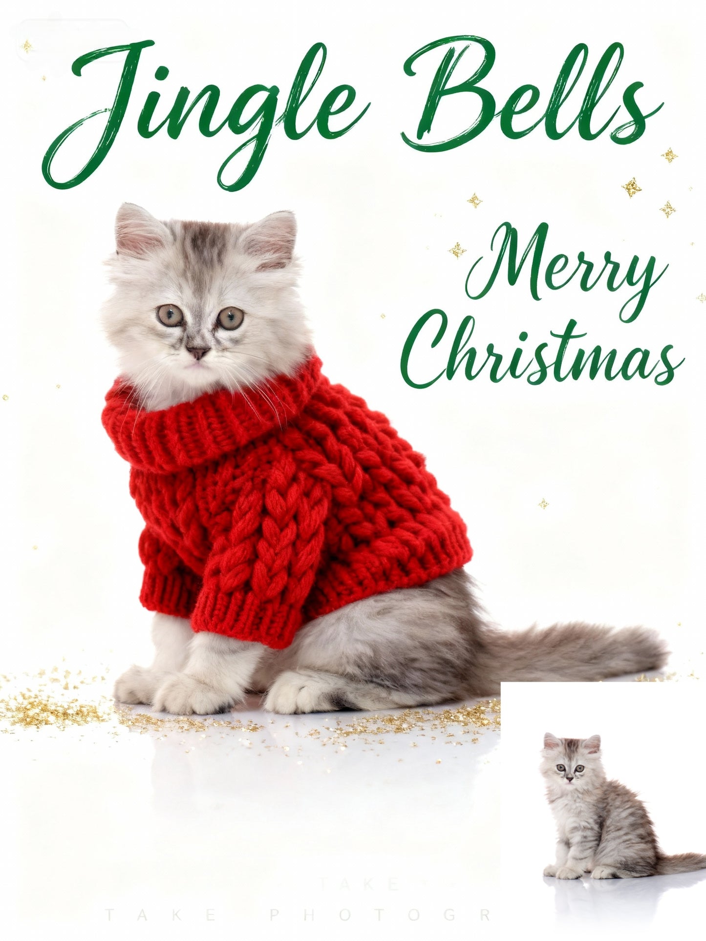 Holiday Sweater Chic Pet Portrait, Pet in Red Knit Jumper Art, Minimalist Christmas