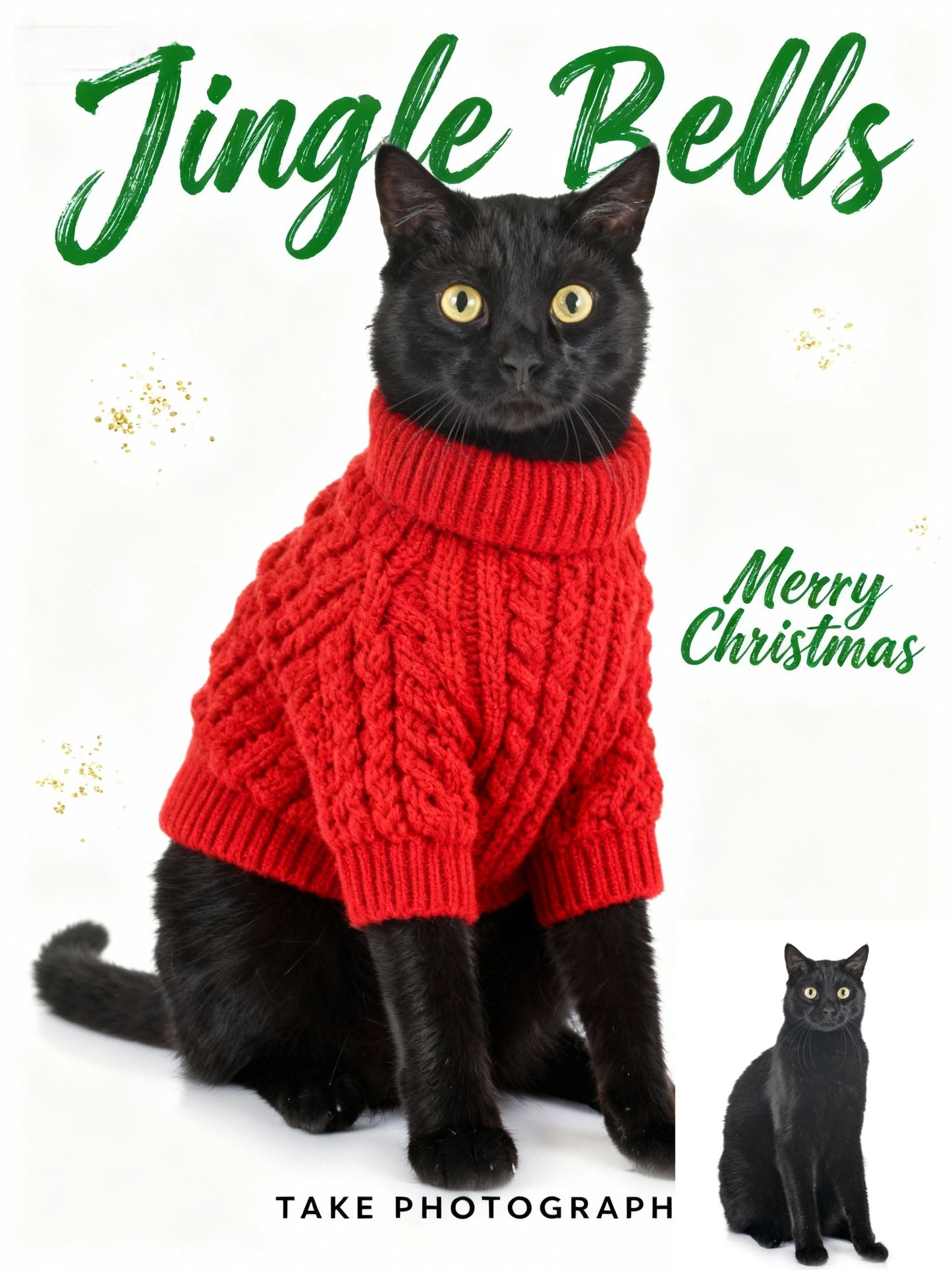 Holiday Sweater Chic Pet Portrait, Pet in Red Knit Jumper Art, Minimalist Christmas