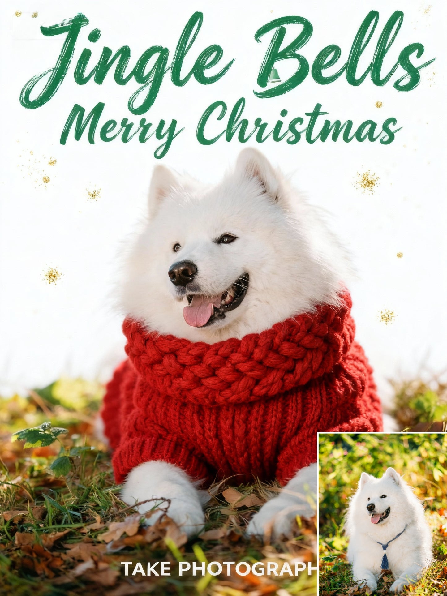 Holiday Sweater Chic Pet Portrait, Pet in Red Knit Jumper Art, Minimalist Christmas