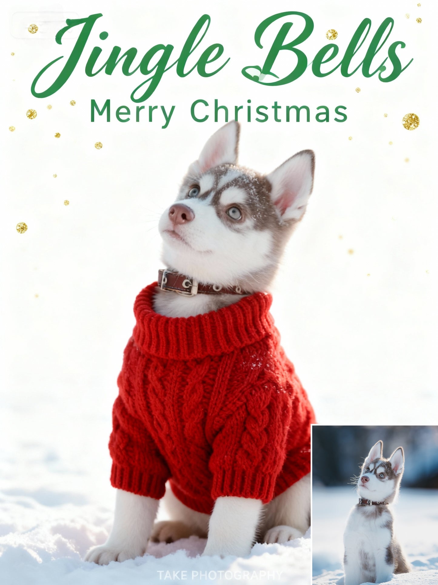 Holiday Sweater Chic Pet Portrait, Pet in Red Knit Jumper Art, Minimalist Christmas