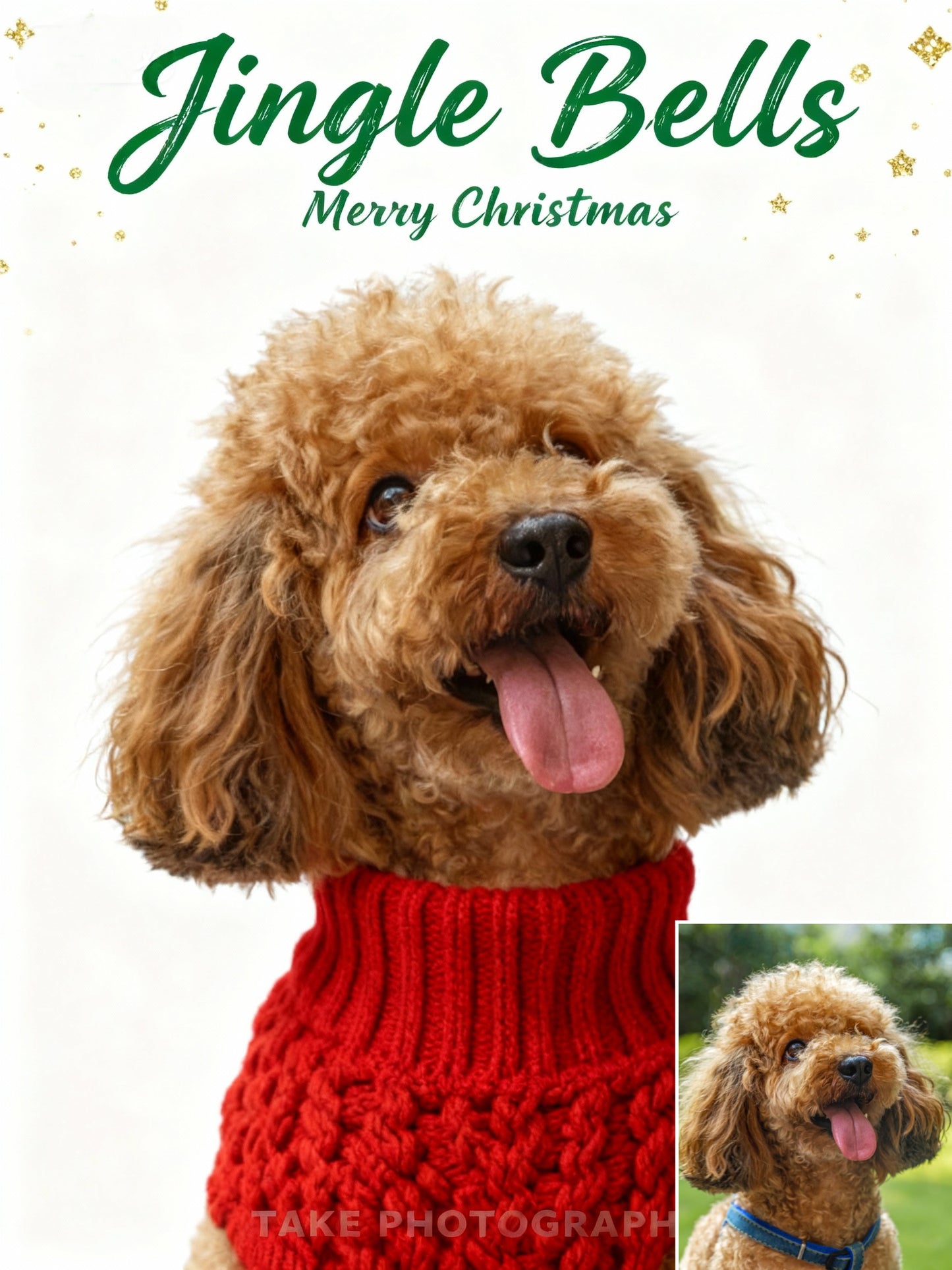 Holiday Sweater Chic Pet Portrait, Pet in Red Knit Jumper Art, Minimalist Christmas