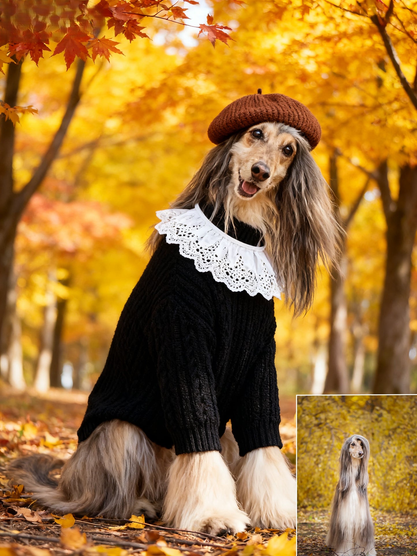 The Maple Artist Custom Pet Portrait, Autumn Beret & Ruffle Collar Fall Foliage Art