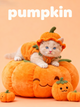 The Cutest Pumpkin Pet Portrait, Custom Halloween Art Gift