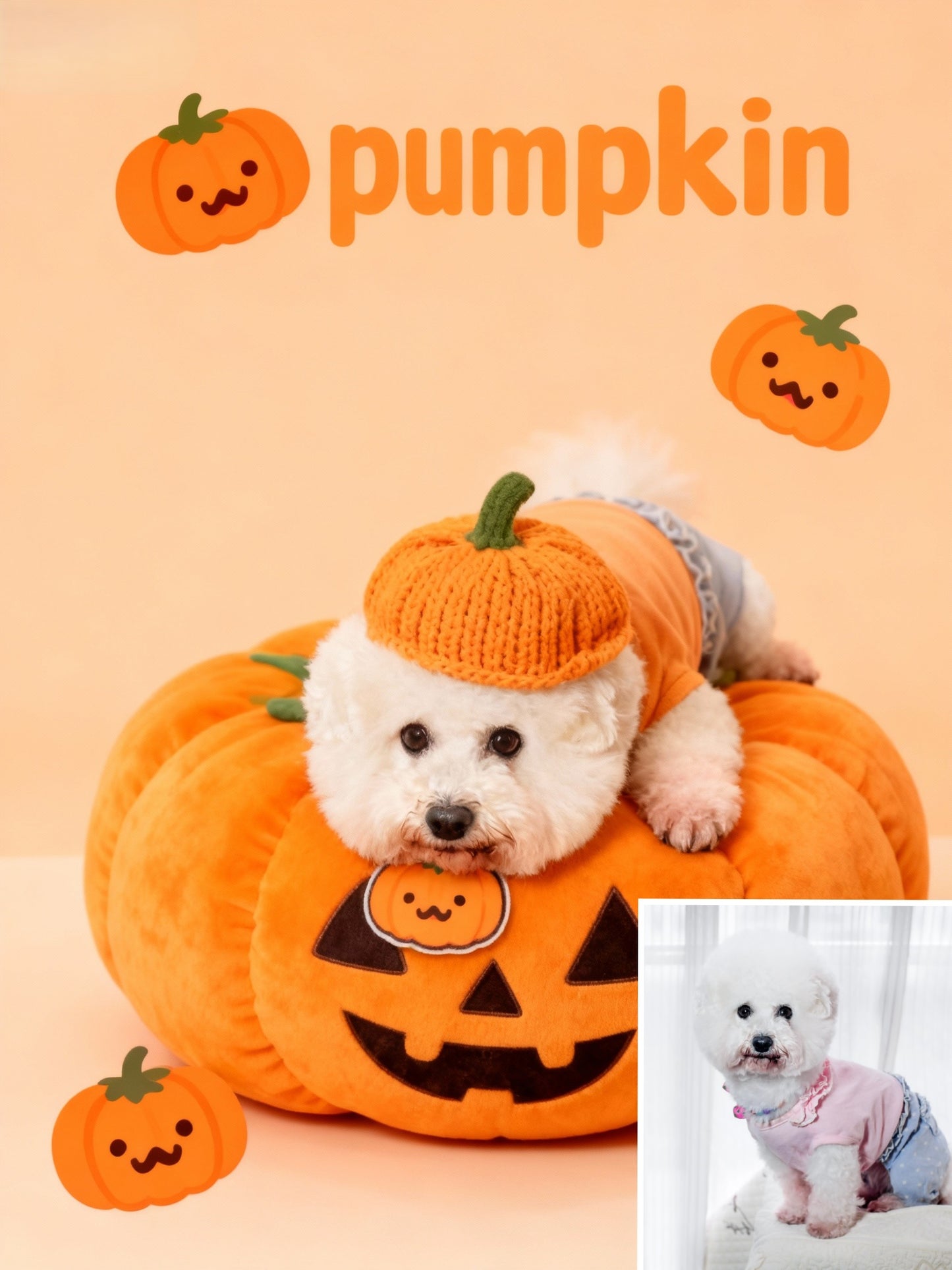The Cutest Pumpkin Pet Portrait, Custom Halloween Art Gift
