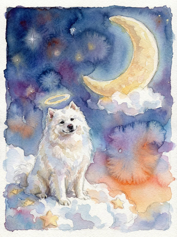 The Guardian Angel: Eternal Starry Night